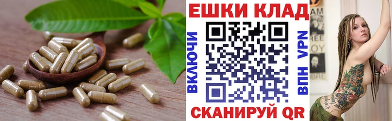 МЕГА как зайти  Унеча  Ecstasy louis Vuitton  магазин  наркотиков 