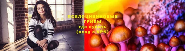 эйфоретик Осташков