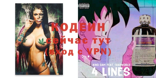 эйфоретик Осташков