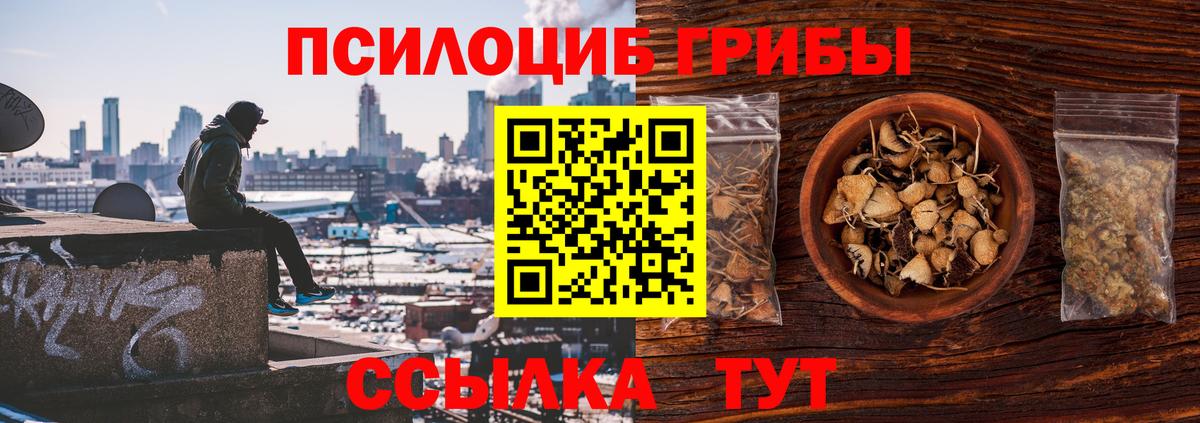 Унеча  Псилоцибиновые грибы MAGIC MUSHROOMS  Вход с VPN  Галлюциногенные грибы ЛСД 